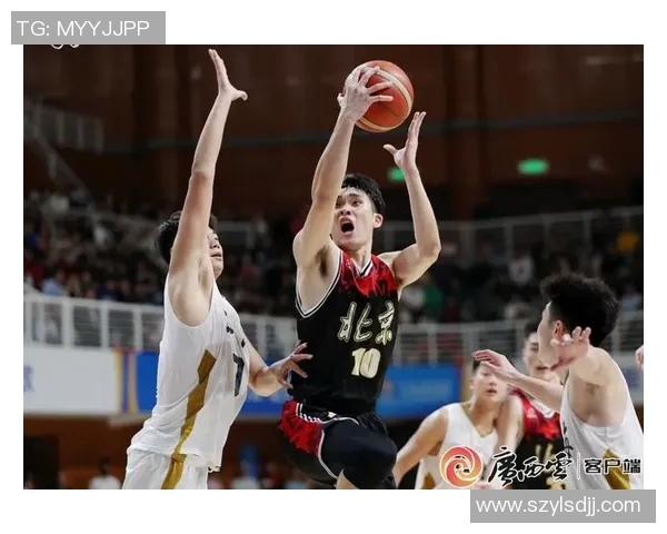 上海篮球队实力深度解析与未来发展展望