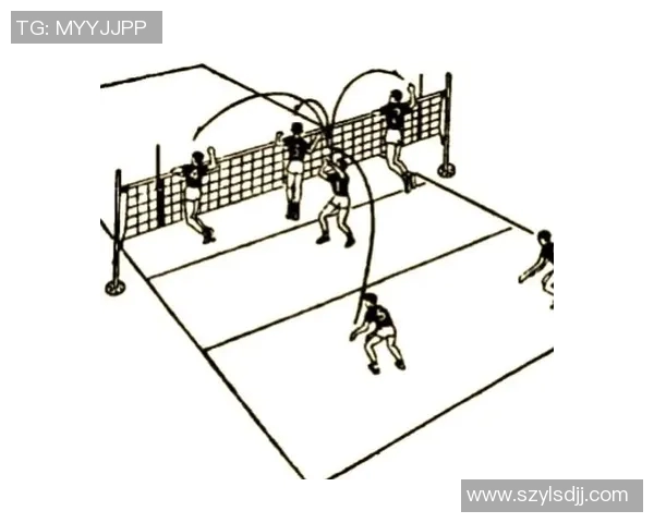 杭州排球队技术解析：从基础到战术的全面剖析与提升策略