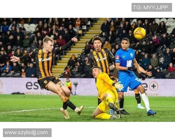 赫尔城与狼队激战正酣赛况分析与精彩瞬间回顾