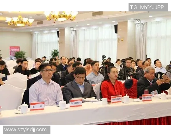 重庆足球队的拼搏历程与荣耀时刻全景纪实